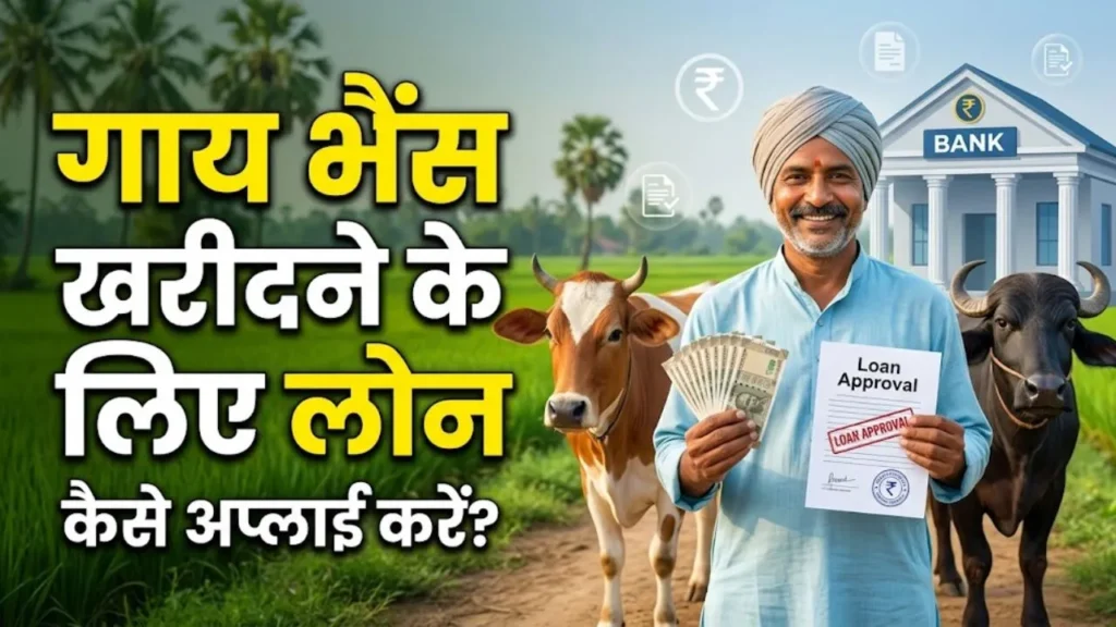 गाय भैंस खरीदने के लिए लोन कैसे अप्लाई करें?
